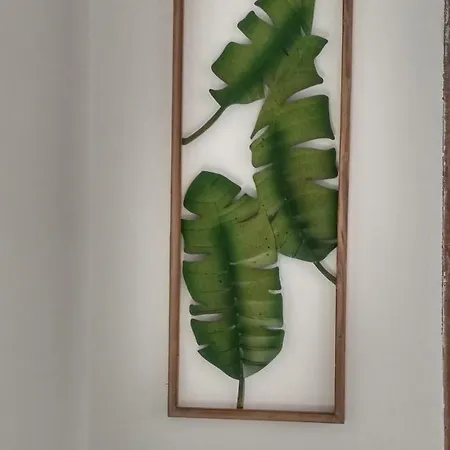 Watching Ciro * Lisboa